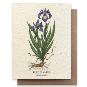 Blue Flag Iris Plantable Card