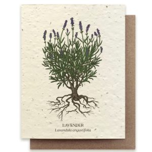 Lavender Plantable Wildflower C