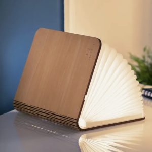 Maple Wood Smart Book Light