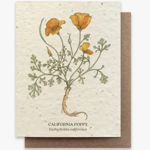 California Poppy Plantable Wild