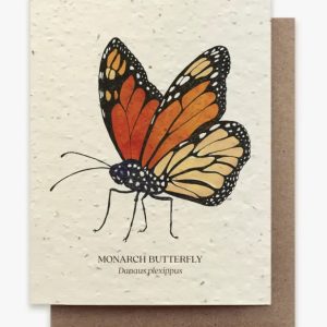 Monarch Butterfly Plantable