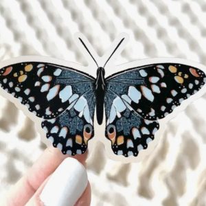 Blue Speckled Butterfly