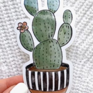 Cactus Striped Planter