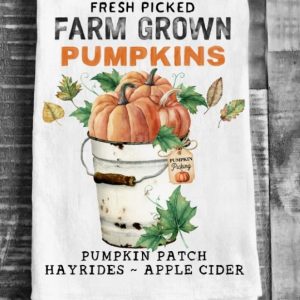 Fall Autumn Pumpkin Farm