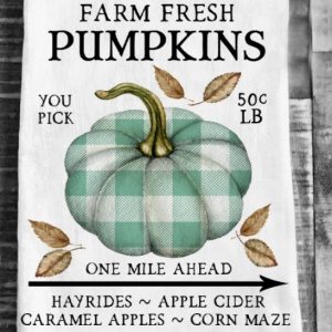 Farm Fresh Pumpkin Plaid
