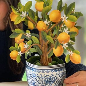 Lemon Blossom Tree Pop Up Card