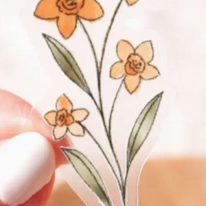 Clear Yellow Daffodils