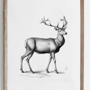 Vintage Deer Art Print-L