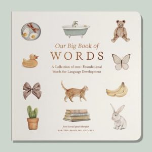 Our Big Book of First Words