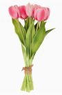 Fresh Picked Pink Tulip Bundle