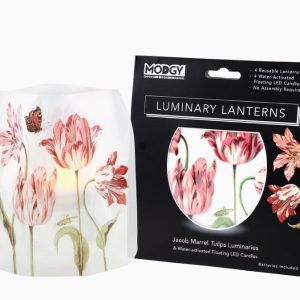 Luminary Lanterns Tulips