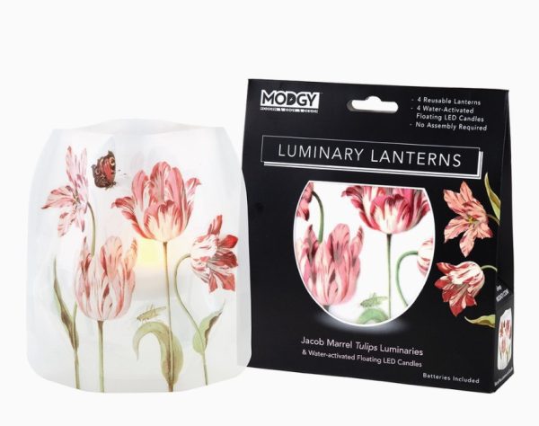 Luminary Lanterns Tulips