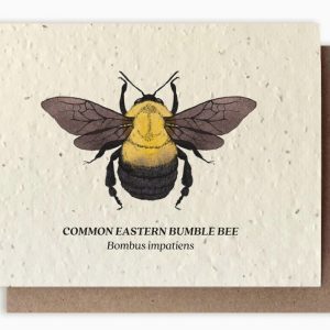 Bumble Bee Plantable Card