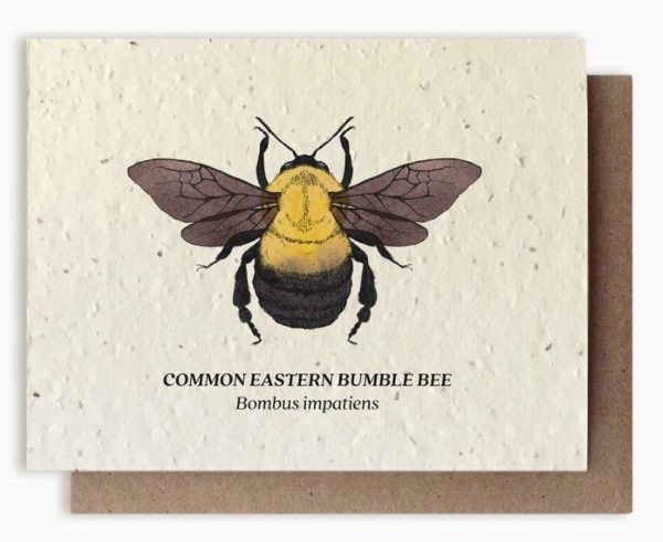 Bumble Bee Plantable Card