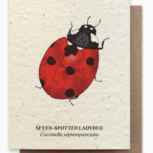 Ladybug Plantable Card