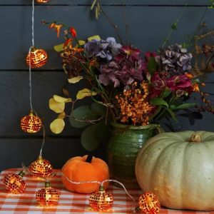 Pumpkin Disco String Lights