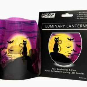 Luminary Lantern - Salem - Hall