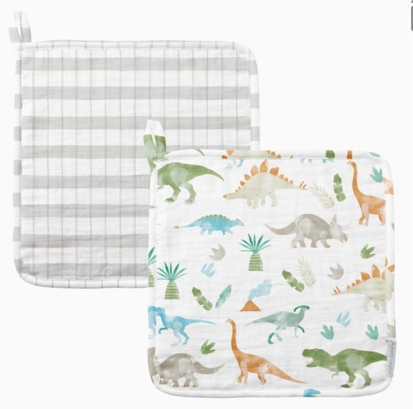 Muslin Washcloth Set-Dino