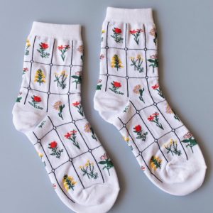 Botanical Garden Box Socks