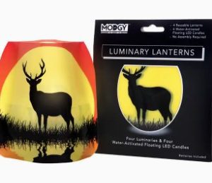 Luminary Lantern - Bucky