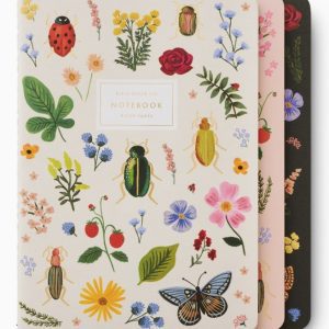 Set of 3 Curio Notebooks