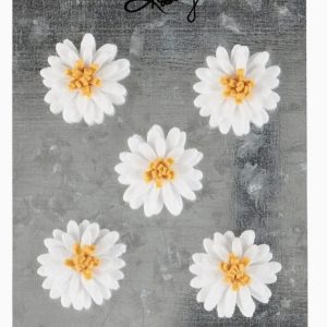 Daisy Magnet Set