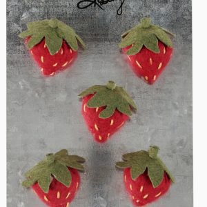 Strawberry Magnet Set
