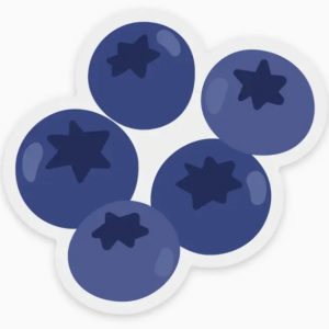 Blueberries Sticker